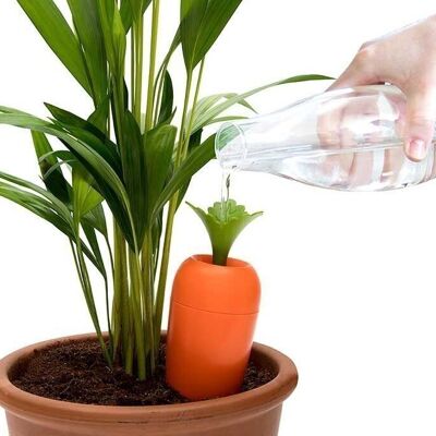 Irrigazione con cura per vasi di fiori