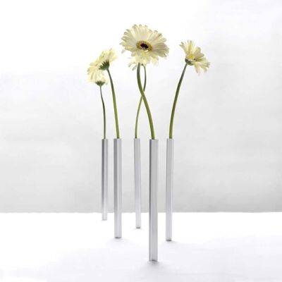 Magnetic vases set of 5 silver