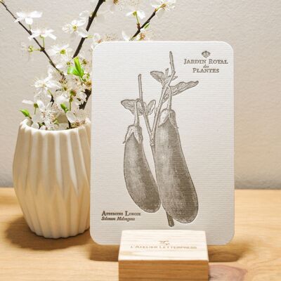 Berenjena Longue Letterpress tarjeta, vegetal, botánico, vintage, papel pesado verjurado