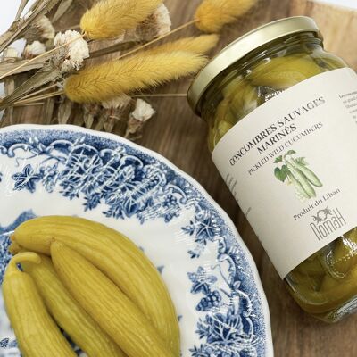 Pickled Wild Cucumbers (Pickles)
