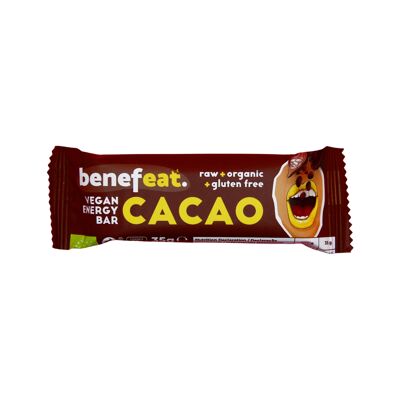 Barrette energetiche al cacao Benefeat crudo biologico senza glutine
