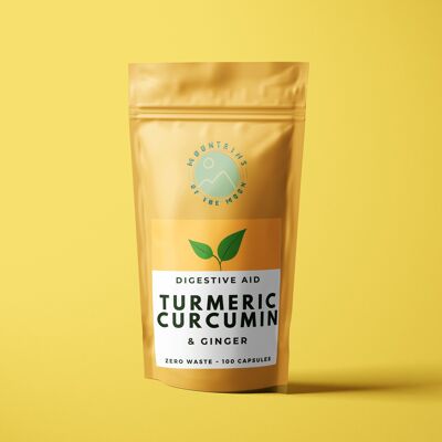 Pure Turmeric, Curcumin & Ginger Root, 100 Vegan Capsules (1,200 mg Per Serving)