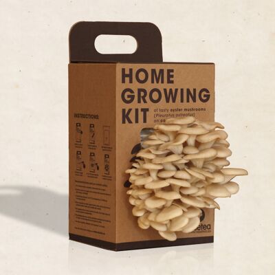 Home growing kit