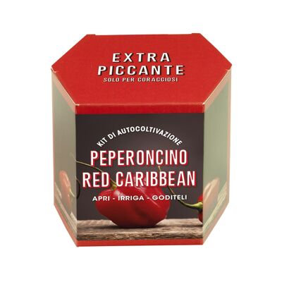 Kit Peperoncino Red Caribbean "Extra piccante. Solo per coraggiosi"