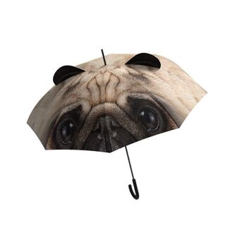 Chien parapluie animal 8