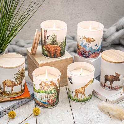 Gifts that give back | Vegan Scented Candles | Spring Summer Set