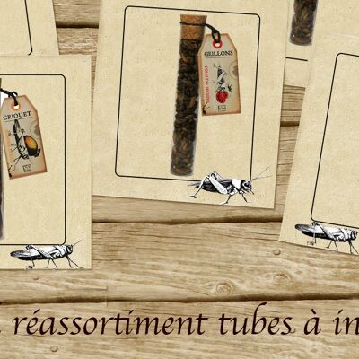 Insect tube reassortment pack