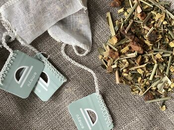 Cosy Mint – 20 sachets de thé dans un sachet 4
