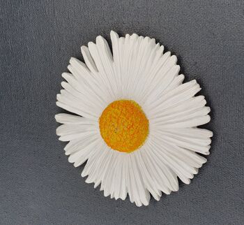 Papier peint 3D "Marguerites" 2