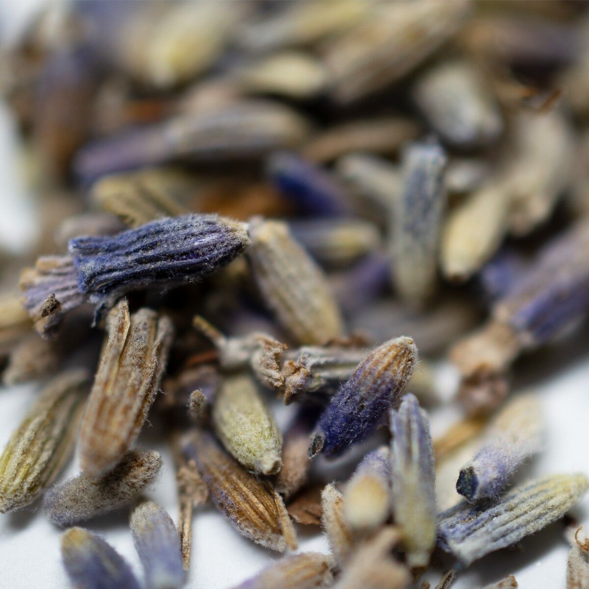 Tè BIOLOGICO CERTIFICATO Lavanda, 18 piramidi confezionate singolarmente