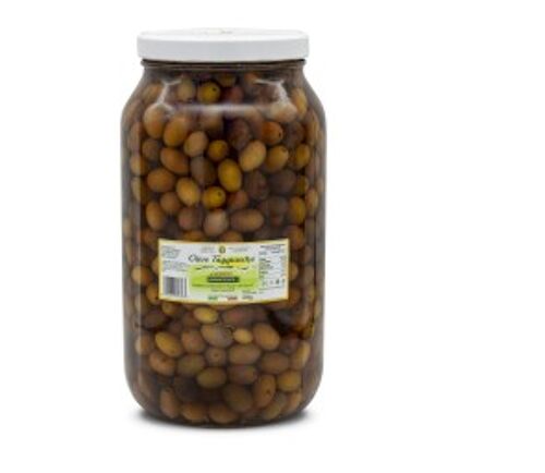 Taggiasche olives in brine - Jar 3100 ml (2 kg )