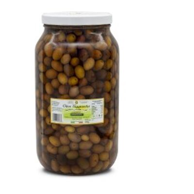 Taggiasche olives in brine - Jar 3100 ml (2 kg )