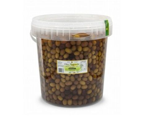 Taggiasche olives in brine - bucket 8,2 L (5 kg)