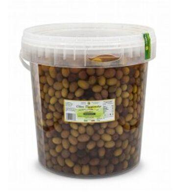 Aceitunas Taggiasche en salmuera - cubo 8,2 L (5 kg)
