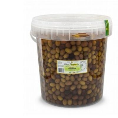Taggiasche olives in brine - bucket 8,2 L (5 kg)