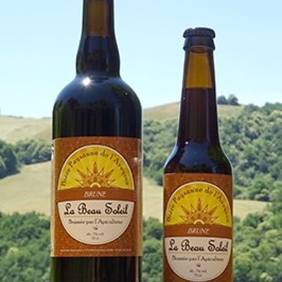 Bière la Brune 33cl