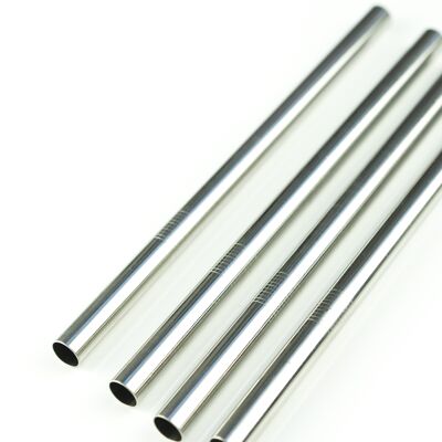 Stainless Steel Smoothie Reusable Straws