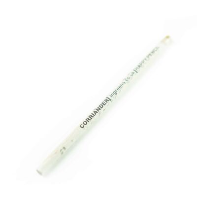 Upcycled Newspaper Pencil Plain (without seeds)