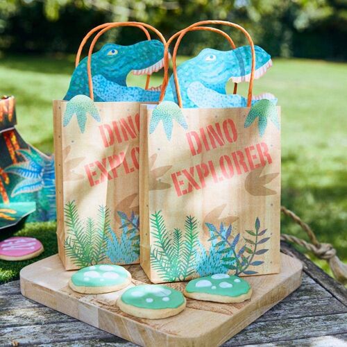 Dino Explorer Treat Bags (x6)