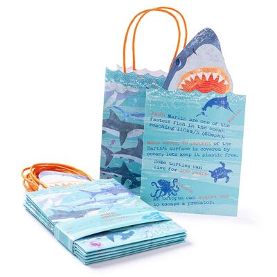 Bolsas de papel para fiestas King of the Sea con tarjetas informativas (x6)
