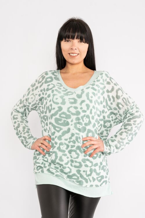 Mint long sleeve leopard print top with matching vest