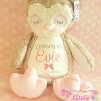 Personalised owl teddy