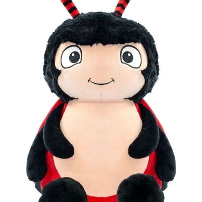 Personalised ladybird teddy cubbie