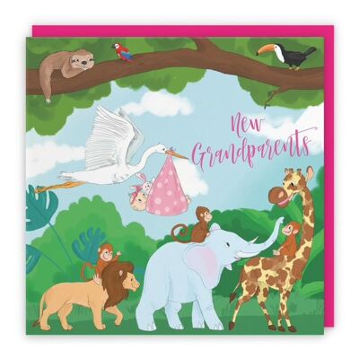 Hunts England New Grandparents Of A Baby Girl Congratulations Card - New Grandparents - Cute Stork Holding New Baby - Pink - Jungle Collection