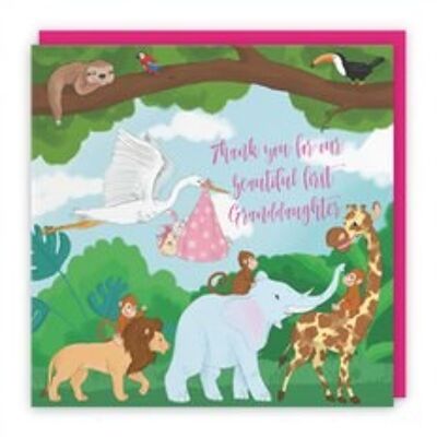 Hunts England New Baby 1st Granddaughter Cute Thank You Card - Thank You For Our Beautiful First Granddaughter - Newborn - From Grandparents - Pink - Stork Holding New Baby - Jungle Collection