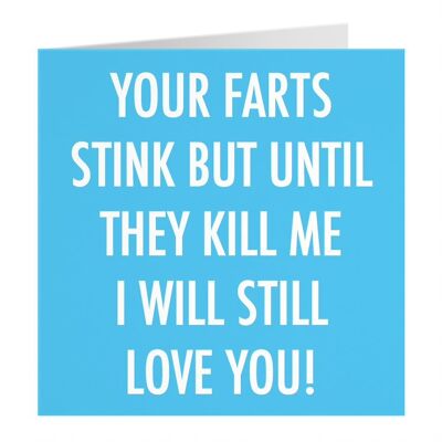 Funny Valentine's Day / Anniversary Card - Your Farts Stink But Until They Kill Me I Will Still Love You - by Hunts England - Urban Colour Collection
