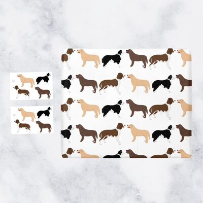 Dog Gift Wrap And Tags (1 Sheet & 2 Tags) - Countryside Collection - Ideal For Dog, Pet Lovers - Features Springer Spaniels, Labradors, Border Collies & Golden Retrievers