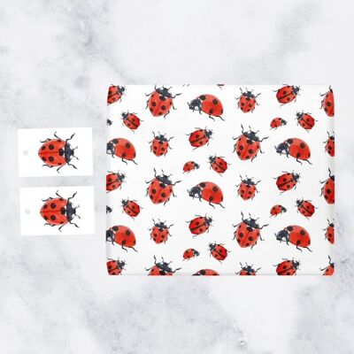 Hunts England Insects Gift Wrap And Tags (1 Sheet & 2 Tags) - Countryside Collection (Ladybug)