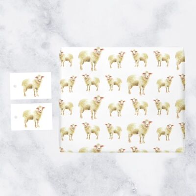 Hunts England Animal Gift Wrap And Tags (1 Sheet & 2 Tags) - Countryside Collection (Sheep)