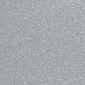 Feuille de flex 50 x 25cm | Atomic sparkle Argent 1