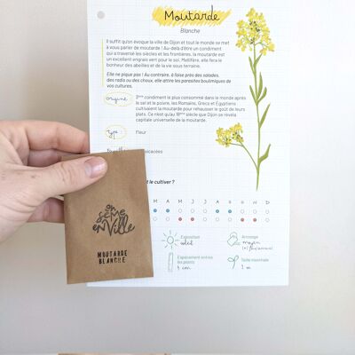 Individual seeds-Mustard