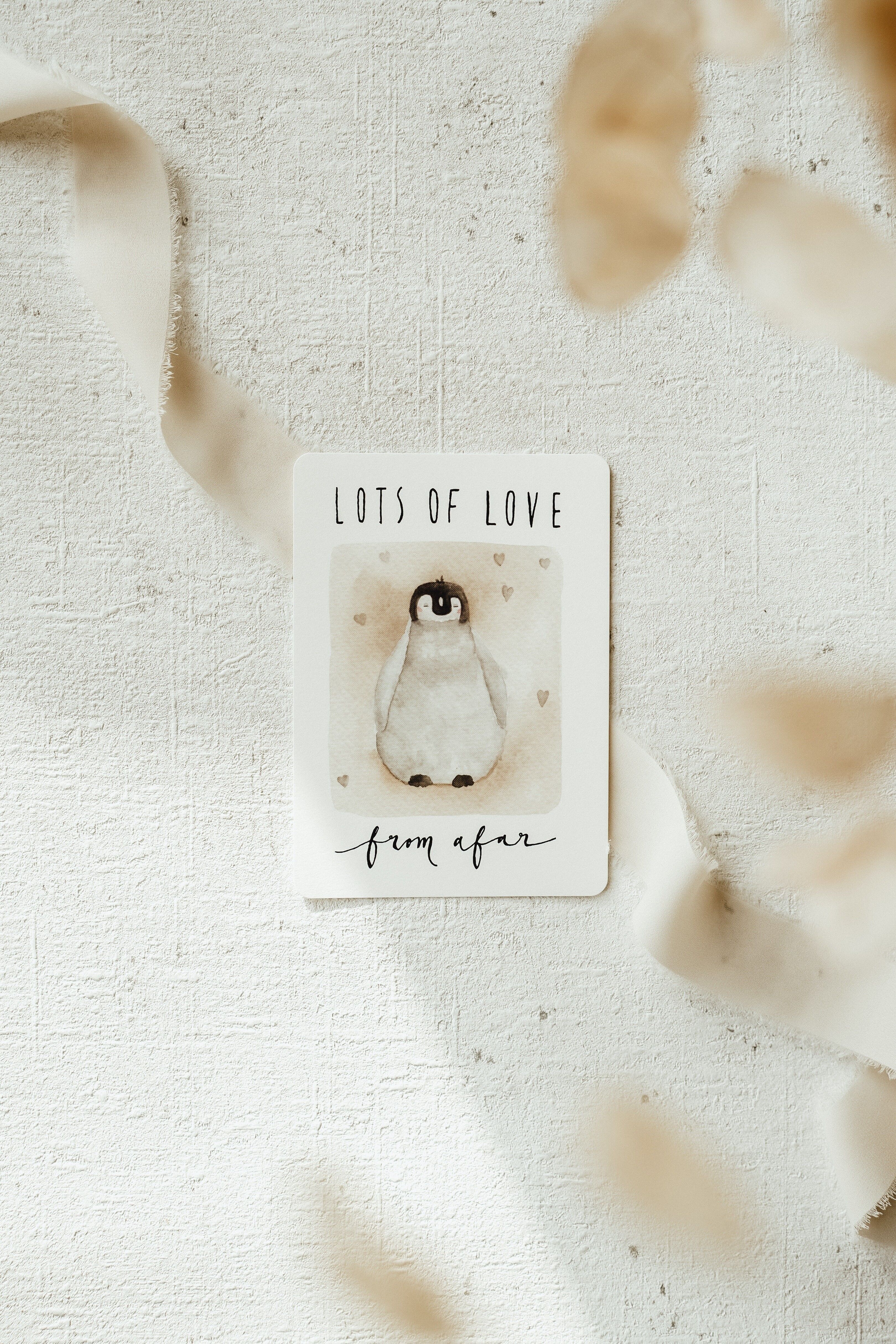 Pinguino Tanto amore da lontano