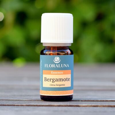 Bergamotte - Biologisches ätherisches Öl - 10 ml