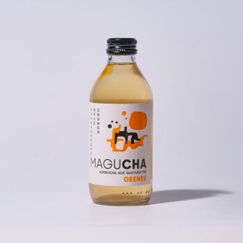 Magucha Kombucha Geenee 2