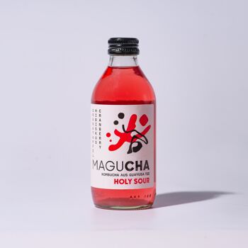 Magucha Kombucha Holy Sour 3