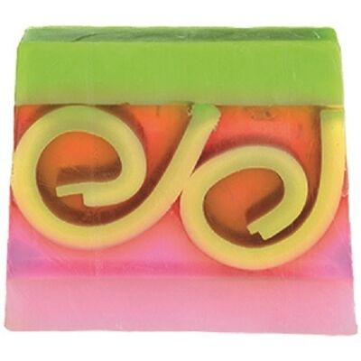 B592 Fruit Loop Slice Soap