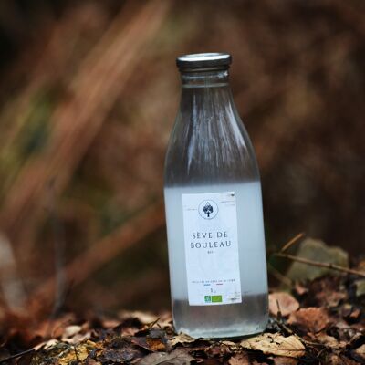Bottiglia di linfa di betulla biologica 1L - La sap française