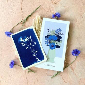 Coffret cadeau Un océan de fleurs / jardinage, cyanotype et illustration 5