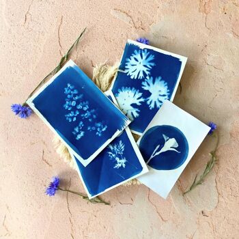 Coffret cadeau Un océan de fleurs / jardinage, cyanotype et illustration 7