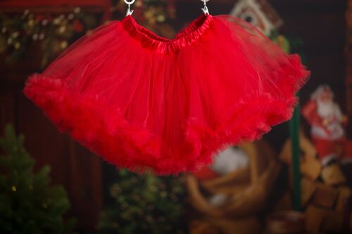 Sakura Tulle Skirt Red