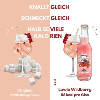 Lowlé Wildberry - Cocktail de baies sauvages à faible teneur en glucides 4