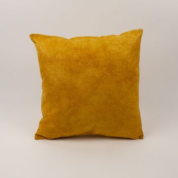 Coussin Daphley Jalpa Y2 1