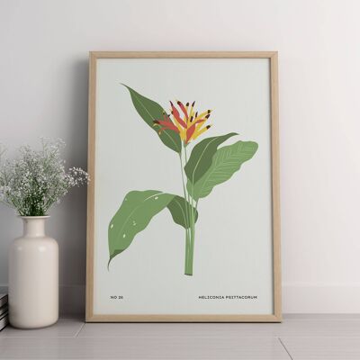 Floral Wall Art Print - Abstract Flowers No186 (A2 - 42 x 59.4 cm | 16.5 x 23.4 in)