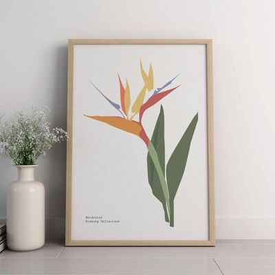 Impression d'art mural floral - Fleurs abstraites No207 (A4 - 21,0 x 29,7 cm | 8,3 x 11,7 po)