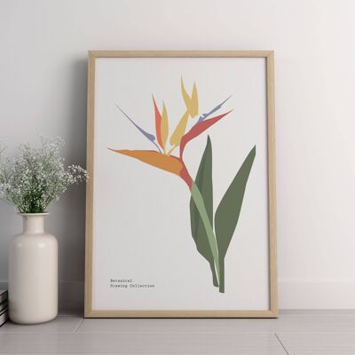 Impresión de arte floral para pared - Flores abstractas No207 (A4 - 21,0 x 29,7 cm | 8,3 x 11,7 in)