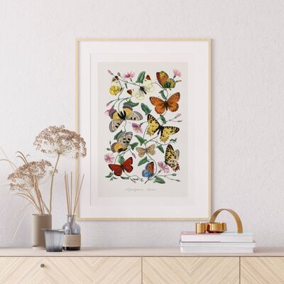 Stampa artistica da parete floreale - Fiori astratti n. 238 (A4 - 21,0 x 29,7 cm | 8,3 x 11,7 pollici)